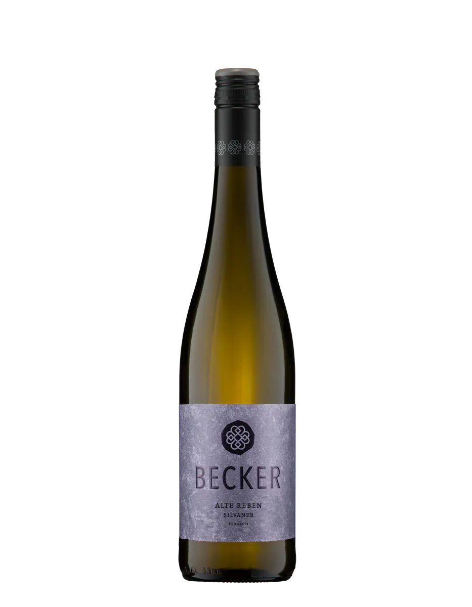 Becker 2025 - Silvaner Alte Reben