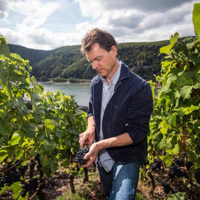 Weinprobe – Weingut Mohr aus dem Rheingau zu Gast - Samstag, 22.11.2025 - ab 18:00 Uhr
